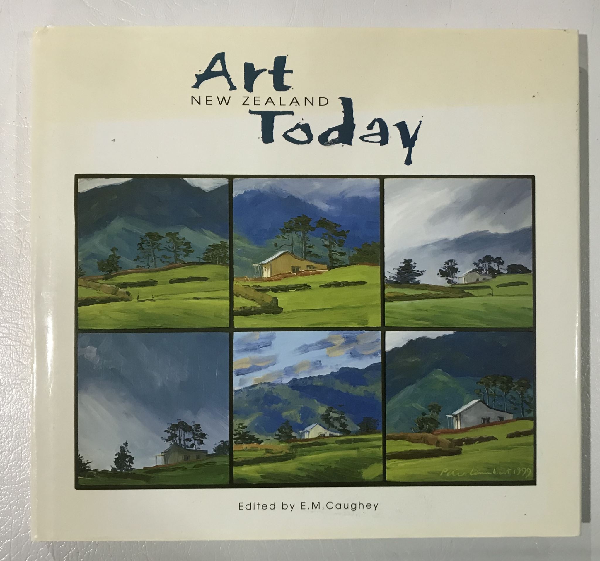 Art New Zealand Today by E. M. Caughey